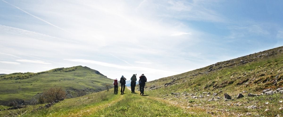 Blog Header Image